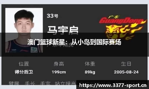 3377体育官网