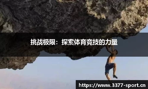 3377体育官网
